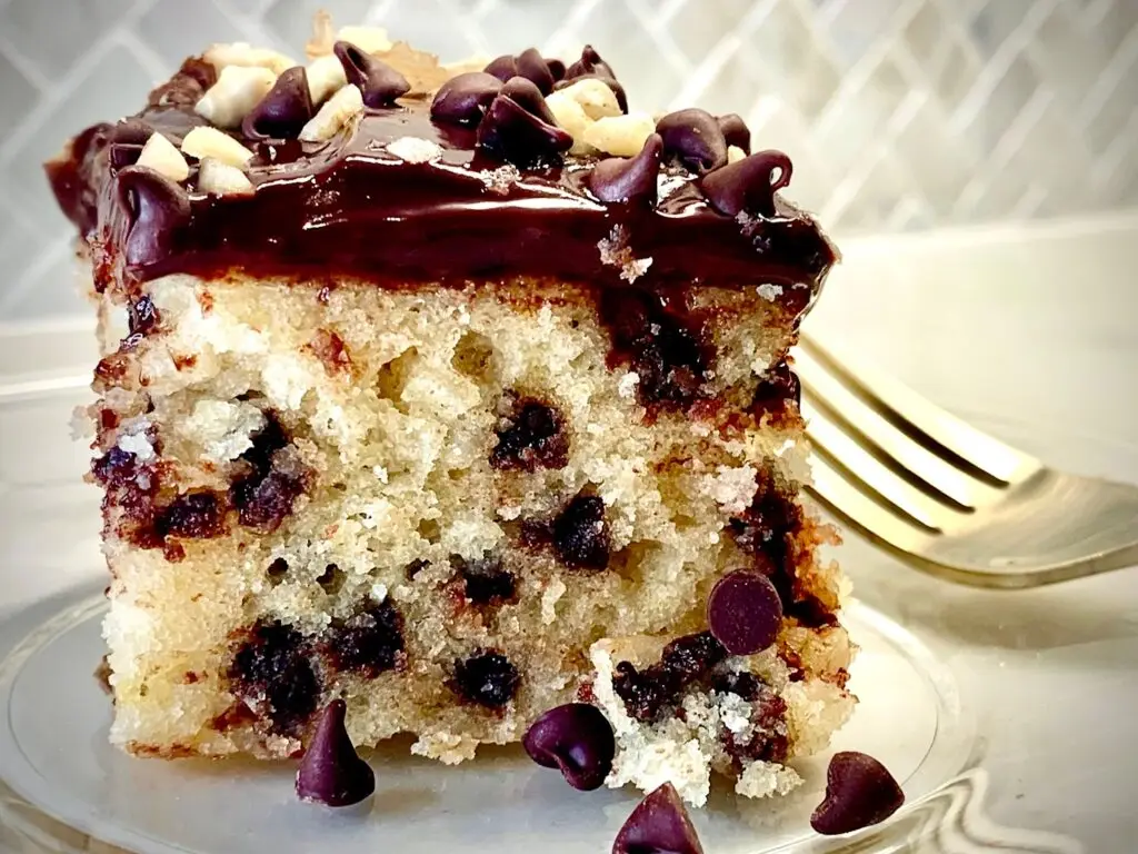 Chocolate chip walnut cake with chocolate frosting