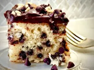 Chocolate chip walnut cake with chocolate frosting