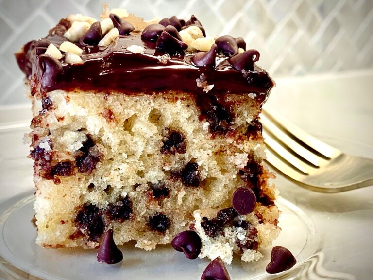 Chocolate chip walnut cake with chocolate frosting